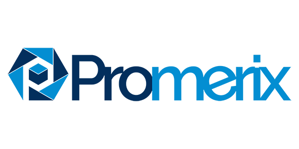 Promerix Web Design